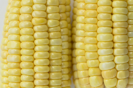 corn