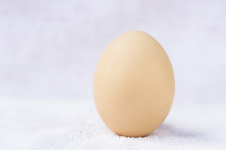 An eggの写真素材