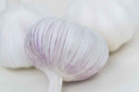 garlicの写真素材