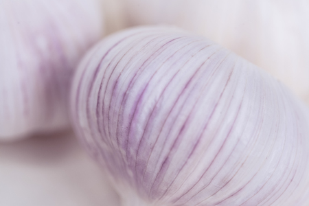 Garlicの写真素材