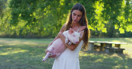 Piglet on a green meadow. concept of sustainability, love of nature, respect for the world and love for animals. Ecologic, biologic, vegan, vegetarianの写真素材