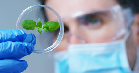 DNA. A scientist in a laboratory. Concept: analysis, DNA, bio, microbiology, augmented reality, biochemistry, immersive technologyの写真素材