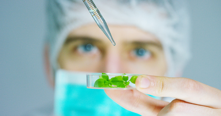 DNA and does research in biochemistry. Concept: analysis, DNA, bio, microbiology, love of natureの写真素材