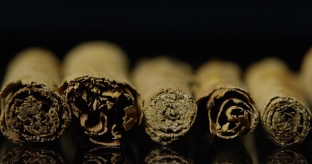 Cinnamon dried on a flat black background. concept of distant lands and spices for organic food and beverages.の写真素材