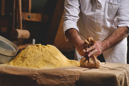 A hand of a flour, to feel the quality and the essence of the raw material. Concept of: tradition, agriculture, flour, love for nature.の写真素材