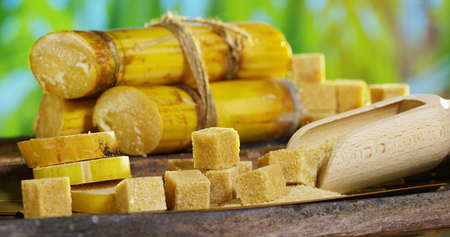 A macro shot of a composition of sugar cane, sugar cubes and sugar in the raw granules. Concept: a sweetener, nature, energy, juices and drinks.の写真素材