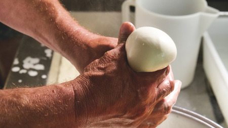 A homemade cheese producer, produces handmade mozzarella with fresh milk. Concept of: tradition, italy, mozzarella.の写真素材