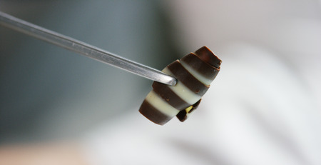 For making sweets the professional confectioner makes exquisite desserts. Concept: the production of sweets, cream, chocolate, pies, cake, ice cream, dough, filling, delicious airy, gourmet, product.の写真素材