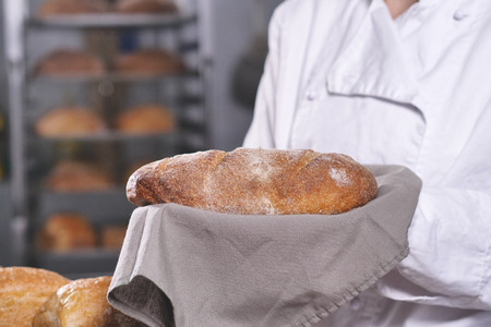 Close up of a baker showing the bread just pulled out of the oven. Concept of: artisan, baker, raw...