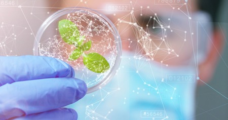 DNA of plant. Concept: immersive technology, augmented reality, science and research and nature, future.の写真素材