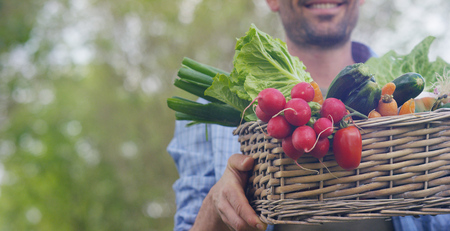 Basket with vegetables (cabbage, carrots, cucumbers, radish and peppers) In the hands of a farmer background of natureの写真素材