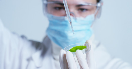 DNA. A woman scientist in a laboratory examining the soil. Concept: analysis, DNA, bio, microbiology, augmented reality, biochemistry, immersive technologyの写真素材