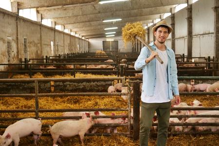 A farmer carefully raises his pigs in a biological way. Concept of: nature, bio, breeding,の写真素材