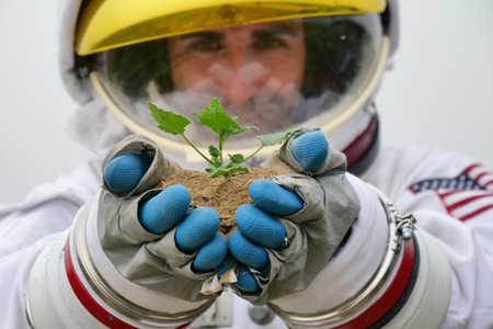 An astronaut lands on a planet. He takes a sprout and hears it carefully. Concept of: ecological, new worlds and new life, exploration and scienceの写真素材