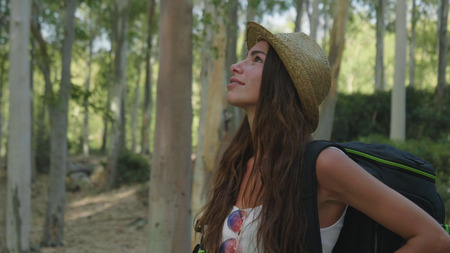 On a sunny day, with a backpack, walking through the forest, the background of trees. Concept:...