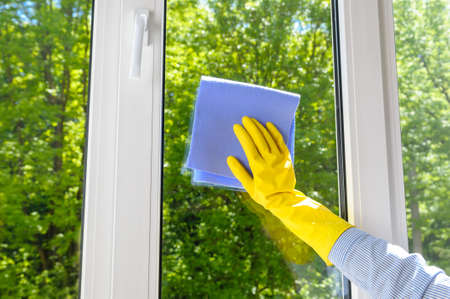 cleaning plastic vinyl window on a background green leaf