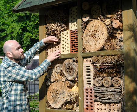 man inspects insect hotel that created from natural materials in garden