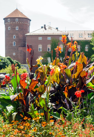 flowerbed with mixed flower near ancient houseの写真素材