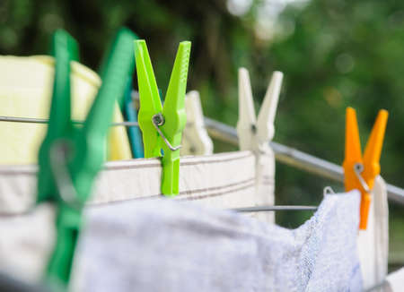 domestic confused cat looks up in homeの写真素材