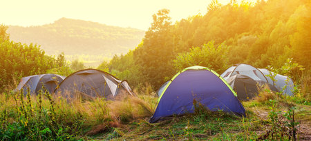 Tourist tents on green meadow at sunset. Camping background.の写真素材