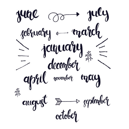 Lettering hand drawn months in the whole year, vectorのイラスト素材