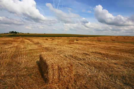 Slanted field in the summer with the blue skyの写真素材