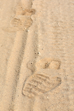 Trace on sandの写真素材