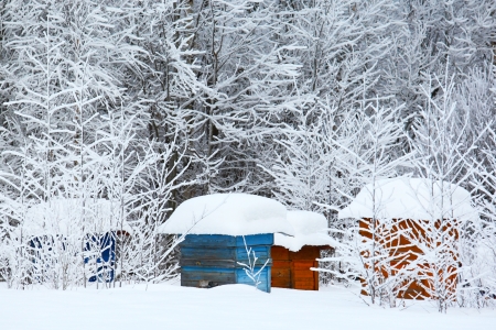 Winter in the villageの写真素材