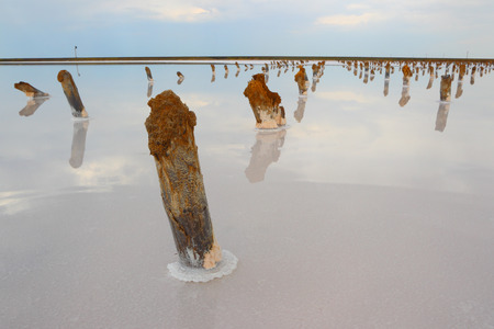 Salt lake Baskunchak. Steppe. Russia.の写真素材