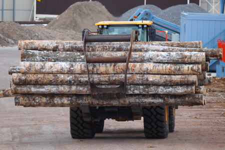 Industrial woodworking. Tractor with trunks of birch.の写真素材