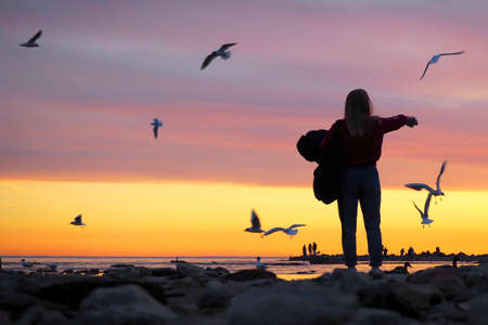 Silhouette picture of a girl against the background of the sunsetの写真素材
