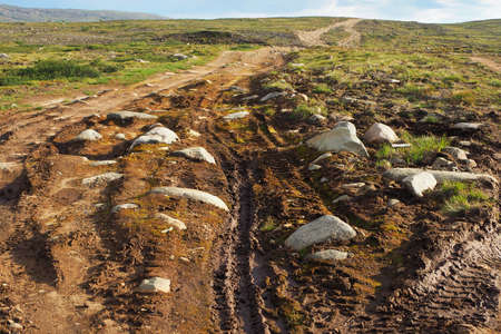 Country dirt road in a deserted tundra in summerの写真素材