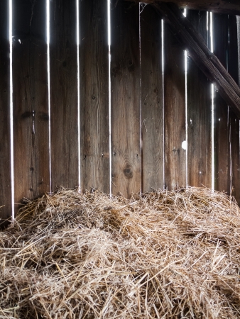 Straw in the old barn with timber wallの写真素材