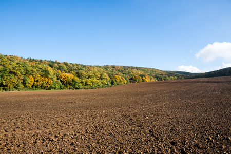 Plowed field near the forest with blue sky. Autumn landscapeの写真素材