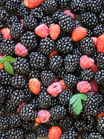 Various fresh organic summer fruits decorated with green leaves