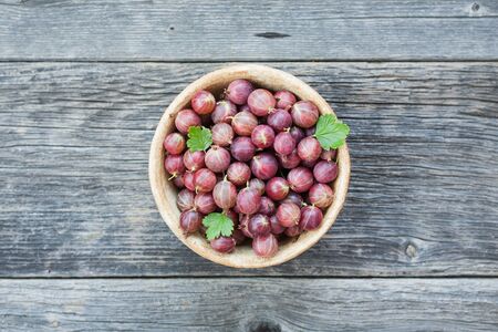 Clay bowl full of red gooseberries from home gardenの写真素材