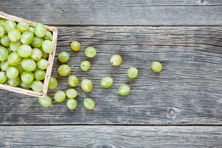 Fresh picked gooseberries in wicker basket on wooden background. Summer food top viewの写真素材