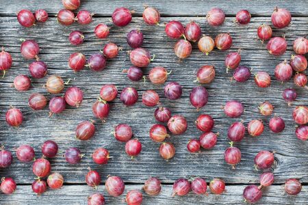 Fresh and healthy summer fruit background of scattered red gooseberries