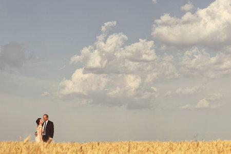bride and groom in the fieldsの写真素材
