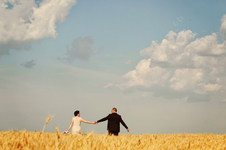 groom and bride in the fieldsの写真素材
