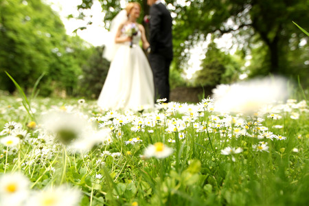 groom and bride in the parkの写真素材