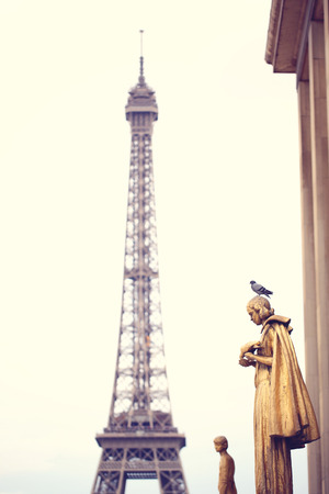 Pigeon standing on a statue in Paris, Eifel tower in backgroundの写真素材