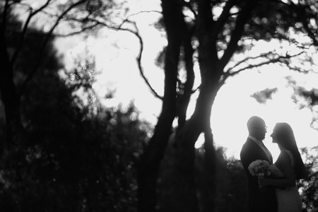 Black and white photograph of bride and groom silhouettesの写真素材
