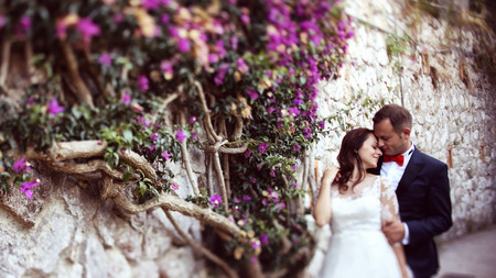Bride and groom embracing near wall full of flowersの写真素材