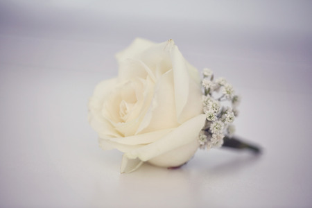 White rose