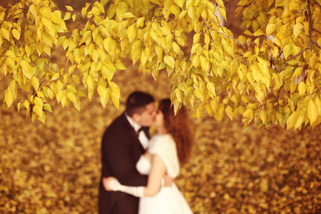 Autumn leaves with bride and groom as silhouettesの写真素材