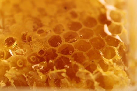 Honey beehiveの写真素材