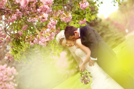 Bride and groom embracing in the parkの写真素材