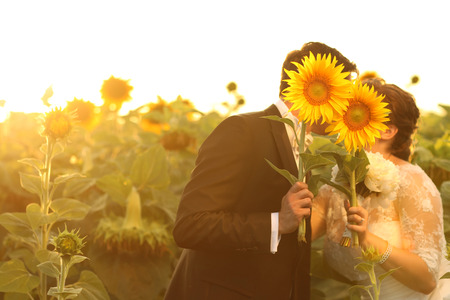 Beautiful bride and groom together in sunflower fieldの写真素材
