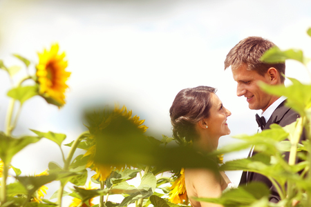 Beautiful bride and groom embracing in sunflower fieldの写真素材